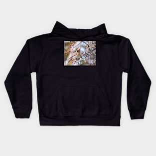 Bohemian Waxwing Kids Hoodie